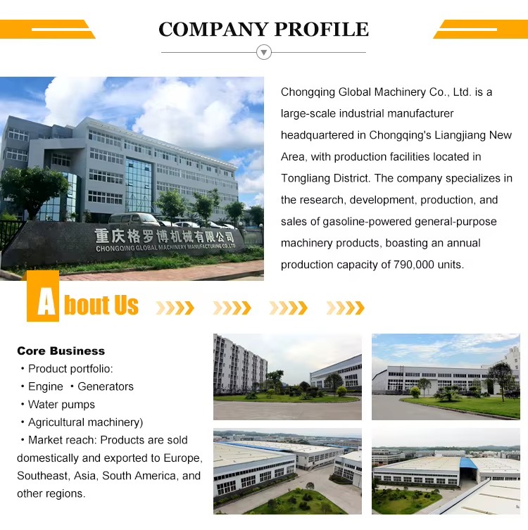 Portable Gasoline Genset / 220V Single Phase 50/60Hz / 15L Tank / Emergency Backup & Home Use