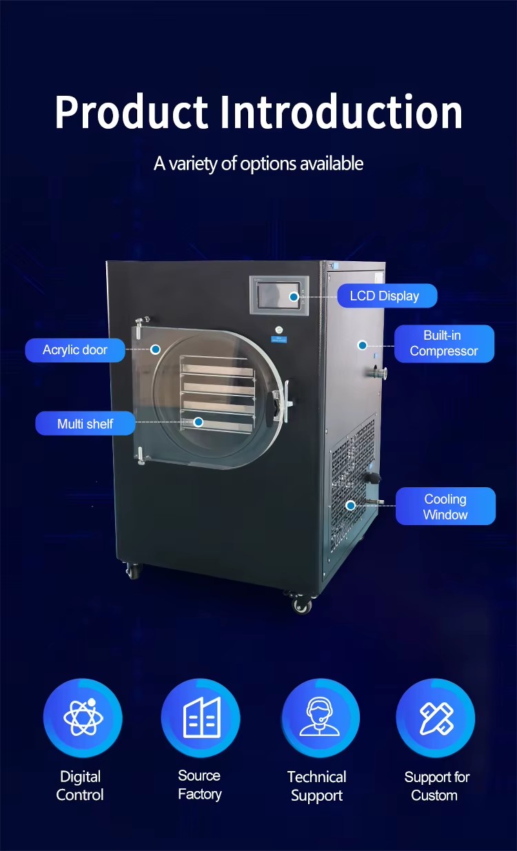 Energy Saving Best Price Mini Lab Vacuum Freeze Drying Machine