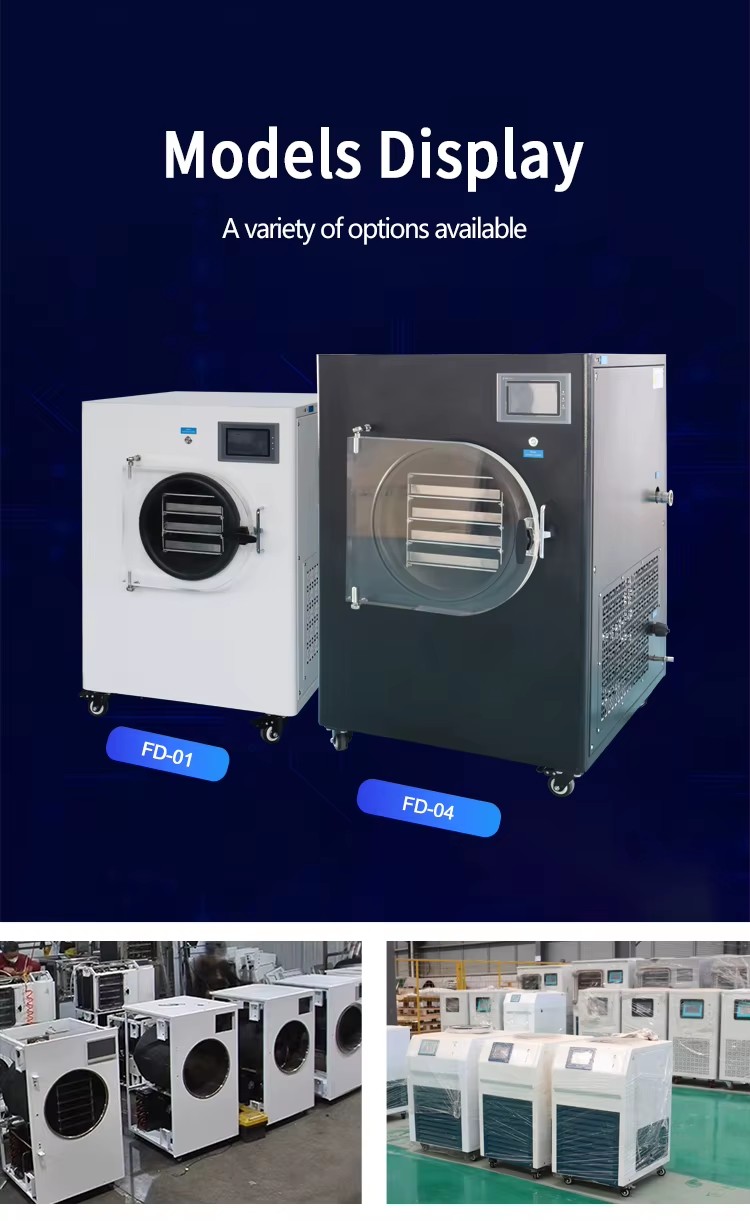 Energy Saving Best Price Mini Lab Vacuum Freeze Drying Machine