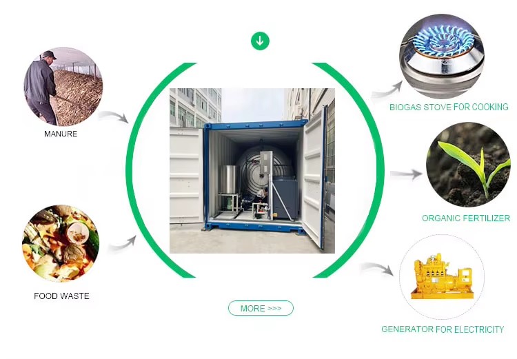 Transfer Livestock Farm Waste Into Energy Electricity 20FT Containerized Biogas Power Plant with 60% Methane 12m3 Capacity