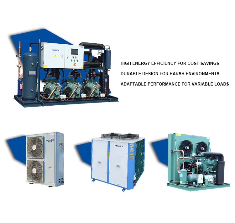 220V Compressor Cold Storage Room Blast Freezer Hotels Home Use Energy Saving Cold Room