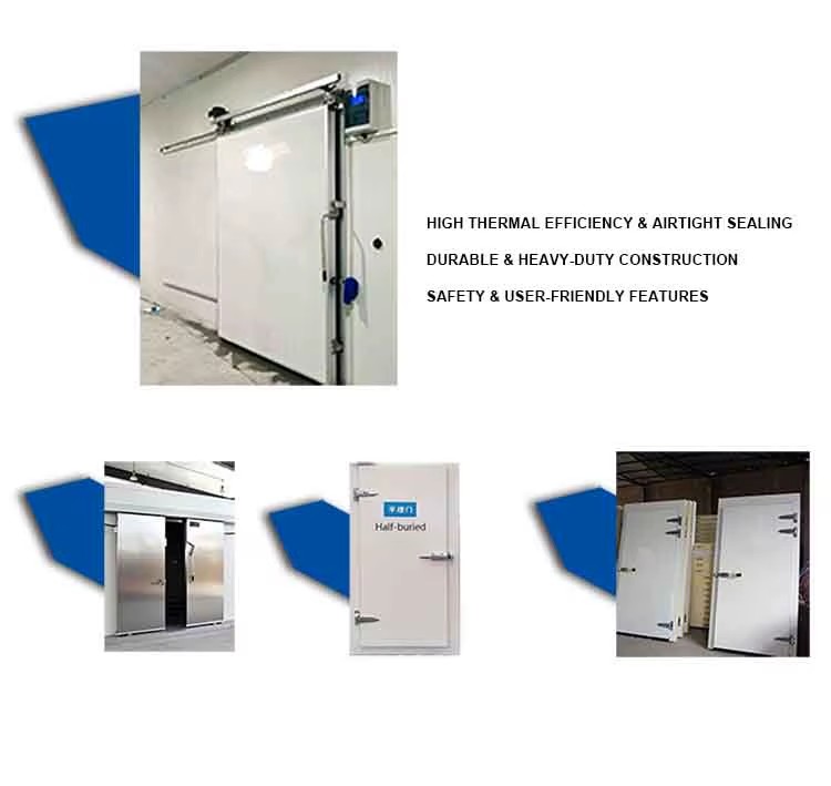 220V Compressor Cold Storage Room Blast Freezer Hotels Home Use Energy Saving Cold Room