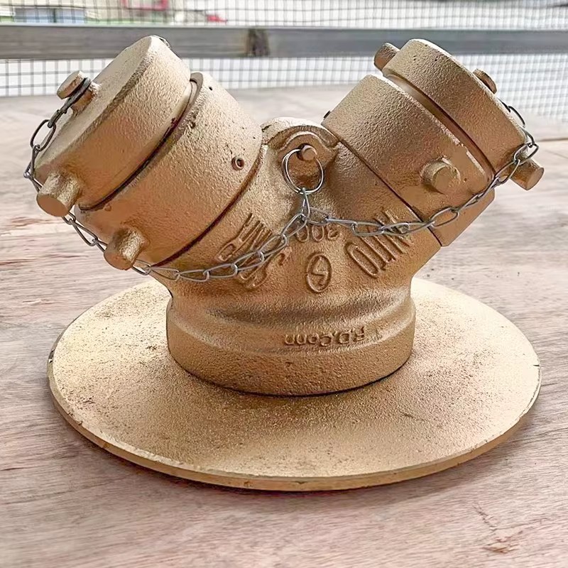 Manufacturer Double Clapper Type Brass Fire Department Siamese Connection Valve