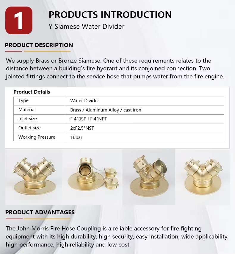 Manufacturer Double Clapper Type Brass Fire Department Siamese Connection Valve