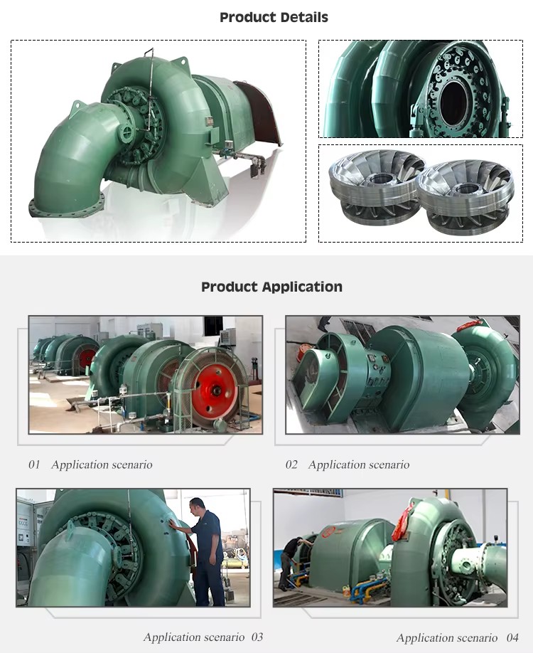 10 Mw Reversible Francis Turbine Micro Hydro Power Generator