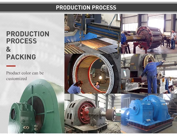 1MW Magnet Generator Alternator