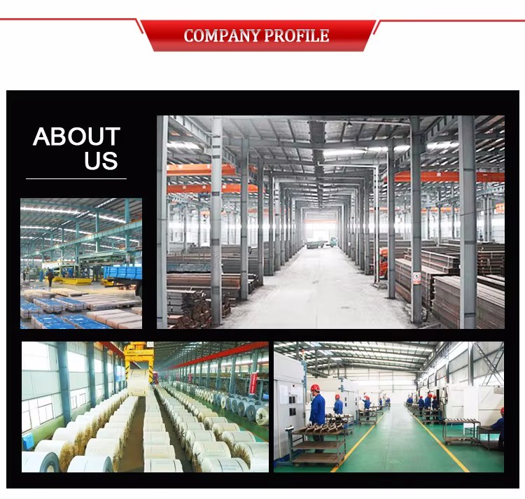 20*20 Steel Pipe/tubes Hollow Section Tubes House Main Iron square Tube Gate Designs