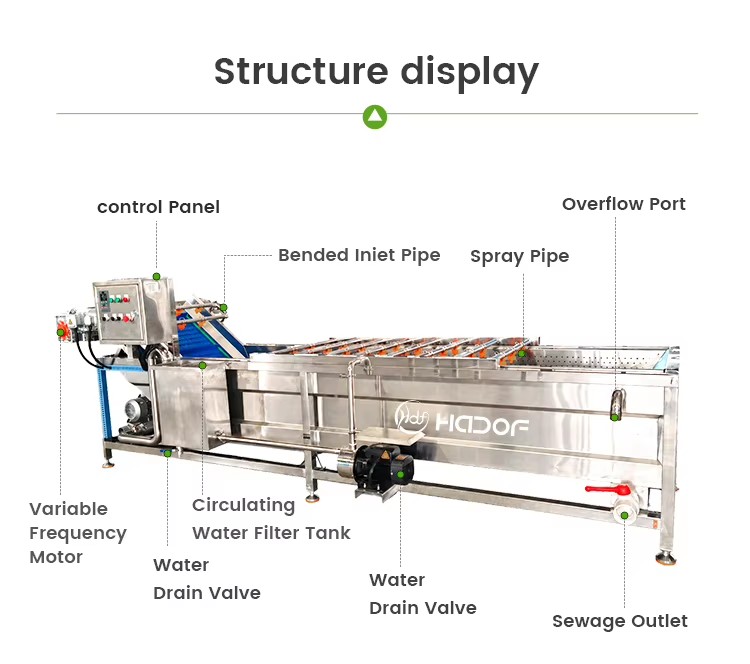 Bubble Washer for Broccoli Cauliflower Cabbage Leafy Vegetable Food Processing
