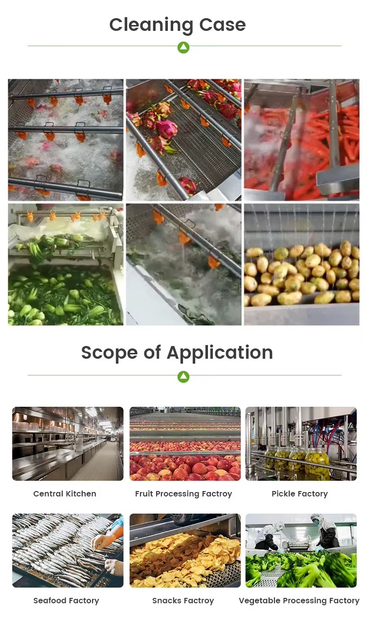 Bubble Washer for Broccoli Cauliflower Cabbage Leafy Vegetable Food Processing