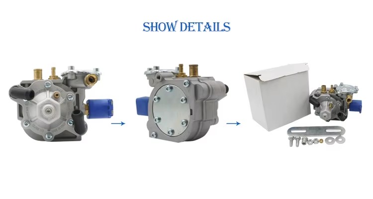 Parts Pressure Reducer Gnv lpg Glp Gas Reducer AT13
