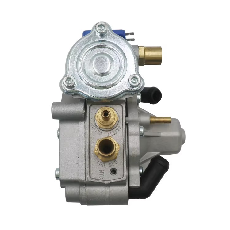 Parts Pressure Reducer Gnv lpg Glp Gas Reducer AT13