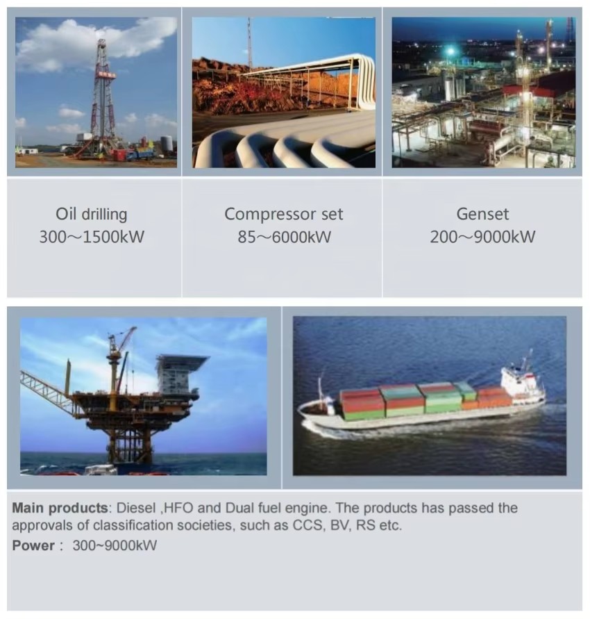 3 Mw Gas Generation Set LNG CNG Gas Piston Power Plant