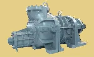 CNG Compressor Natural Gas/ Coal Bed Methane/Biogas Gas Screw Compressor Screw Type 2bar 5bar 7bar 20bar 40bar Outlet Pressure
