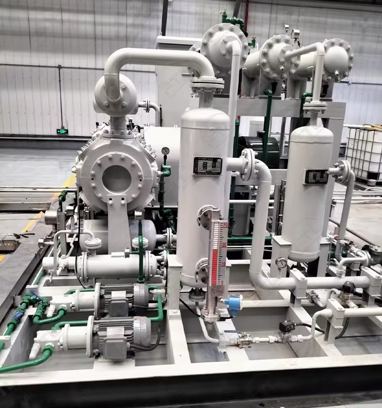Methane Gas Generation Plant CO2 CH4 Capture Biogas Liquefication Equipment Amine Adsorption Methane Gas Purifier