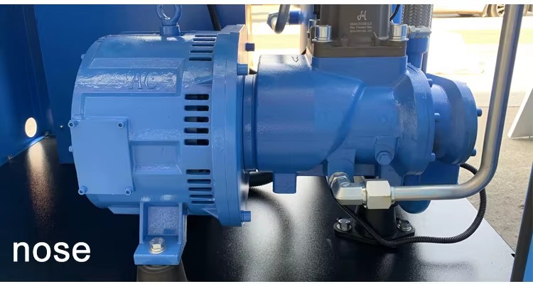 Silent Pcp Stationary air Compressor 220v Mini Head Biogas High Pressure Electric Cng Gas Diving air Compressor