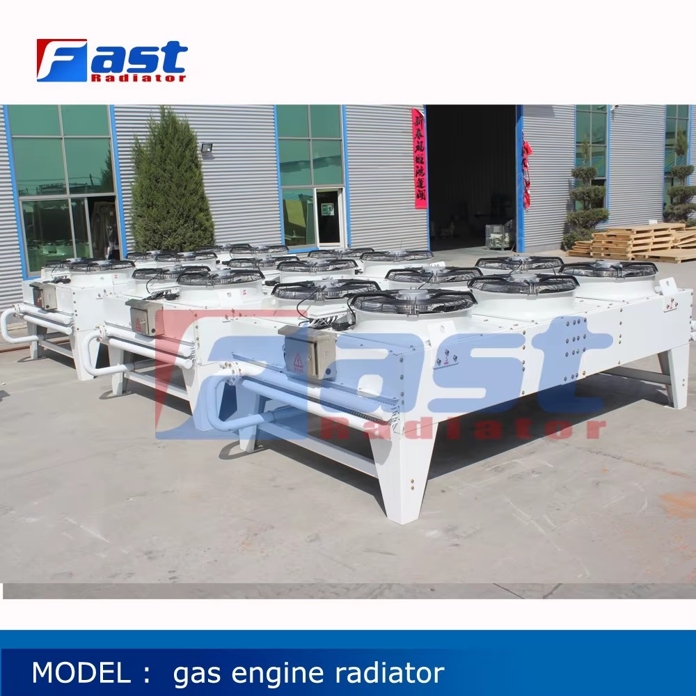 FAST Brand Wartsila Gas Solutions for TCG 3016 Copper Drycooler Radiator Natural Gas Engine Generator Machinery Parts