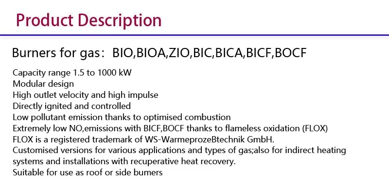 Domestic Kromschroder BIO 80HB-100/35 Industrial Gas Burner Nozzles Combustion System LPG for Boiler Metal 6-Month Warranty