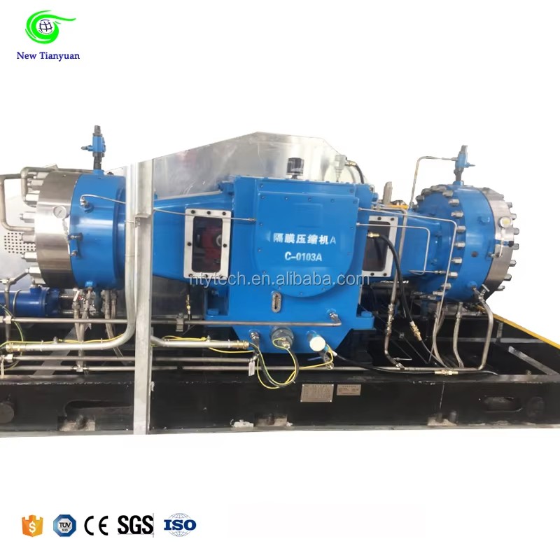 Professional Industrial High Pressure 300 Bar D-type Oxygen Hydrogen Argon Booster Gas Diaphragm Compressor