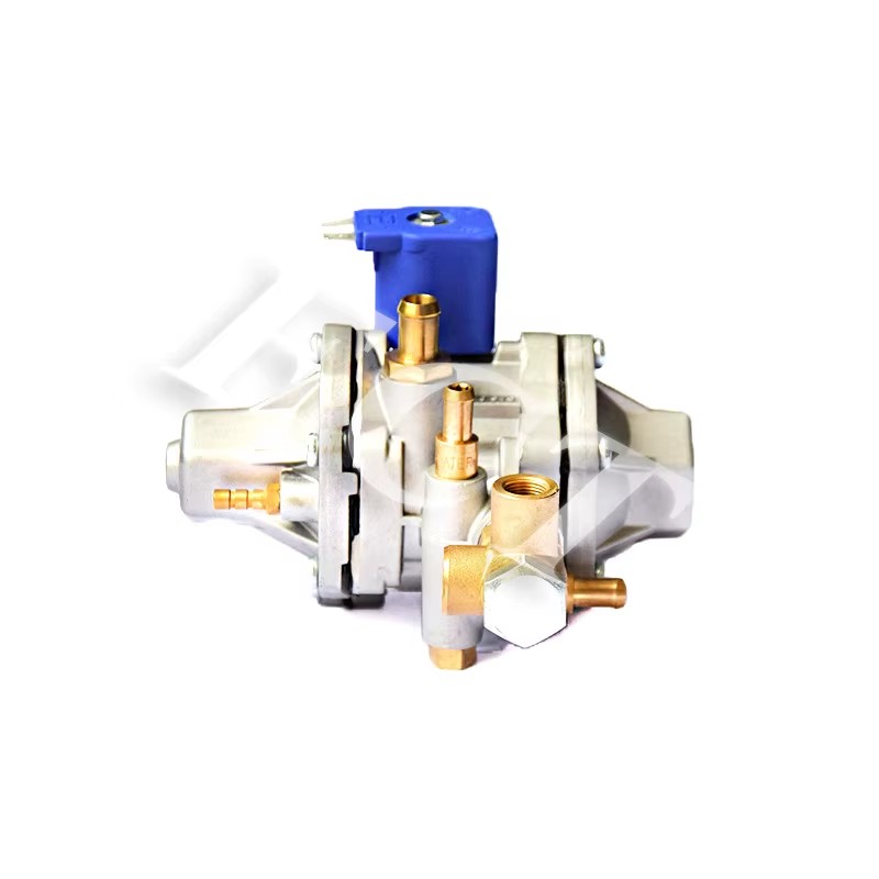 AT12 Natural Gas Engine 140kw FC Gas Regulator CNG Reducer Injection Valves