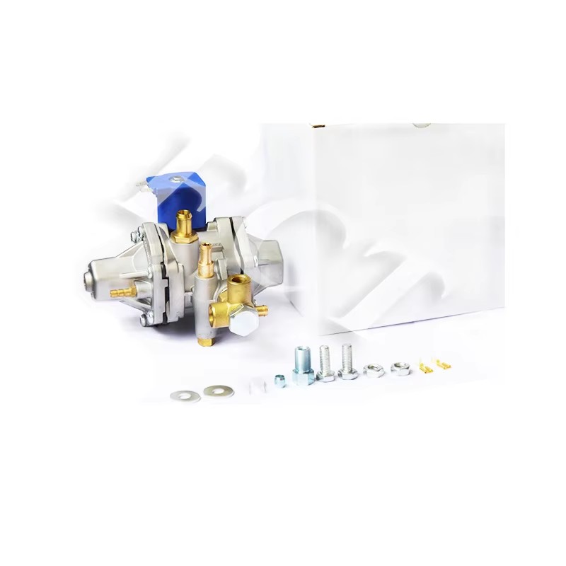 AT12 Natural Gas Engine 140kw FC Gas Regulator CNG Reducer Injection Valves