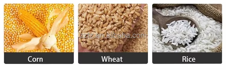 Compact Electric Quartz Sand Dryer Stainless Steel Metal Powder Stone and Mineral Powder Drying Equipment