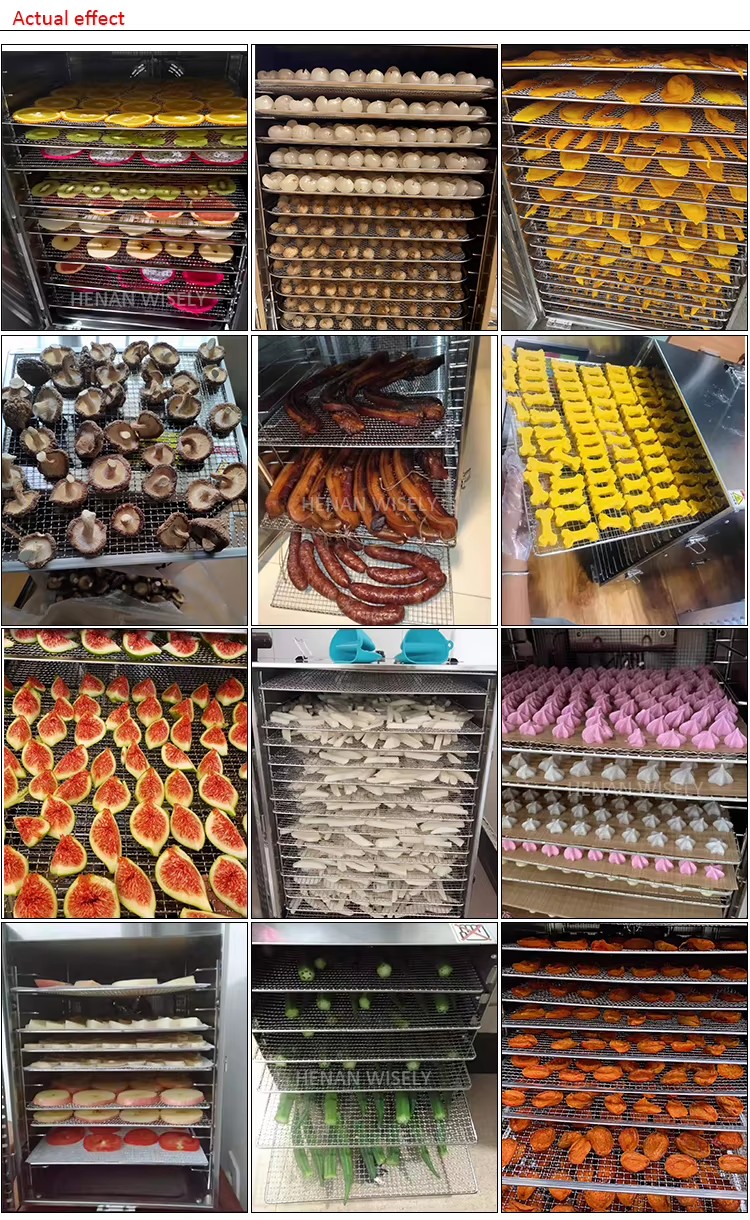 Commercial Fruit Dryer Dehydrator Meat Fish Drying Oven Equipment Ginger Dehydrator Machine Food Dehydrator Machine