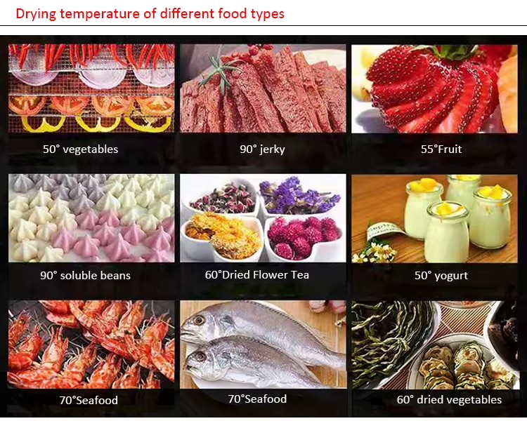 Commercial Fruit Dryer Dehydrator Meat Fish Drying Oven Equipment Ginger Dehydrator Machine Food Dehydrator Machine