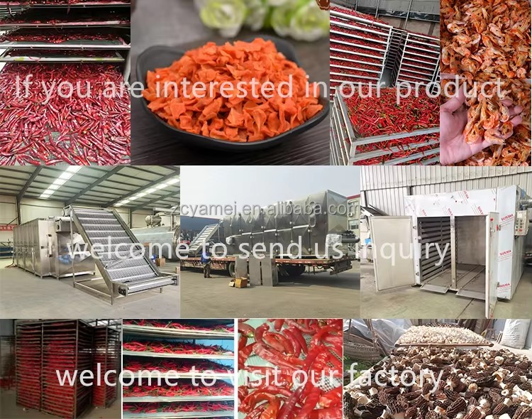 Tray Dryer Machine for Food Product, Stainless Steel Industrial Food Processing Equipment