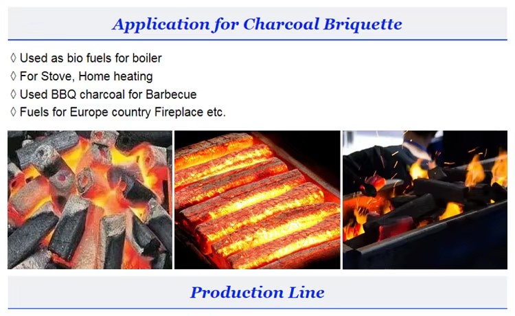 Sawdust Briquette Compression Machine 300kg/h Small Wood Sawdust Charcoal Briquette Making Machine