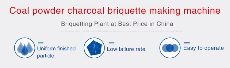 Small Biomass Charcoal Briquettes Machine for Sale Price in Korea