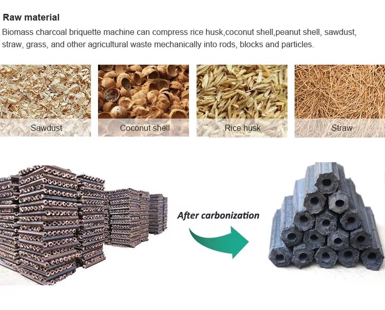 Professional Wood Sawdust Charcoal Briquette Machine with Good Performance