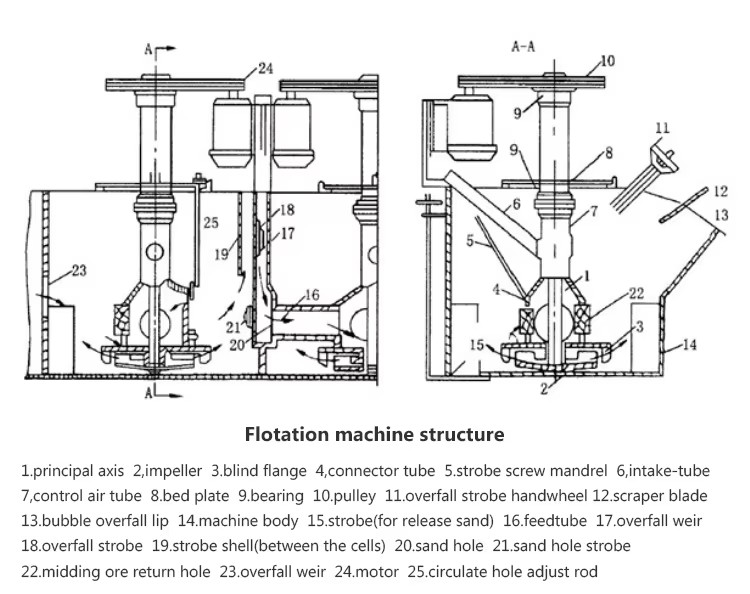 Product detail