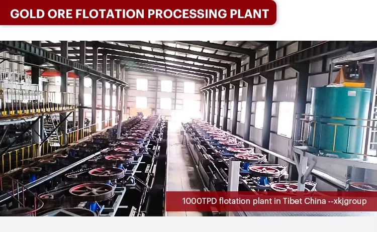 Widely Used 20tph 400tpd Gold Mining Processing Equipment Gold Ore Flotation Plant