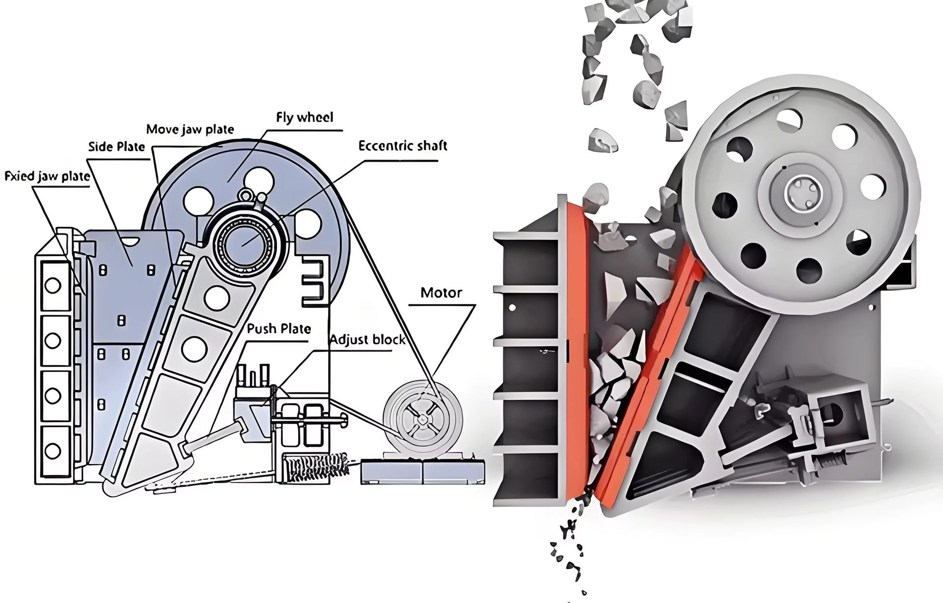Product detail