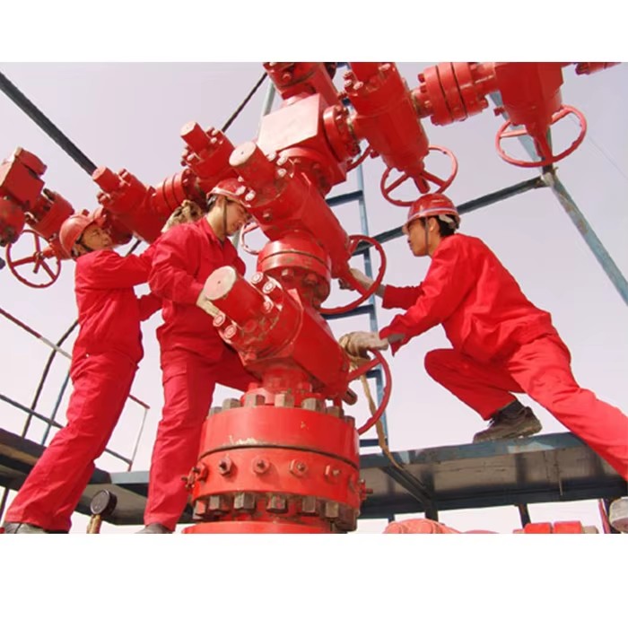 Wellhead Drilling Assembly / X-mass Tree / Oil Rig Christmas Tree for Sale