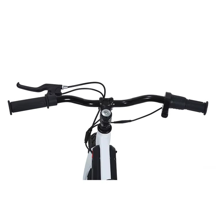 2025 New Product Kids Balance Bike 16 Inch Scooter Bike 250W Lithium Battery Brake Line Magnesium Alloy Frame Single Speed