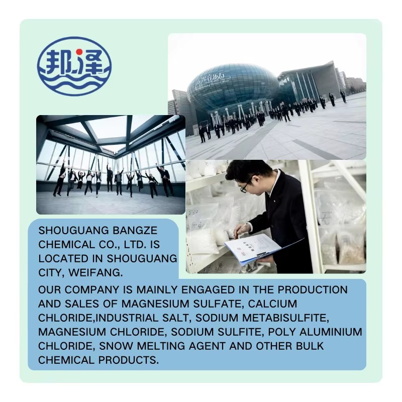 Industrial Grade Sodium Formate Granular for Oil Well Drilling Fluid Brines and Completion Fluids Export Quality Manufacturer