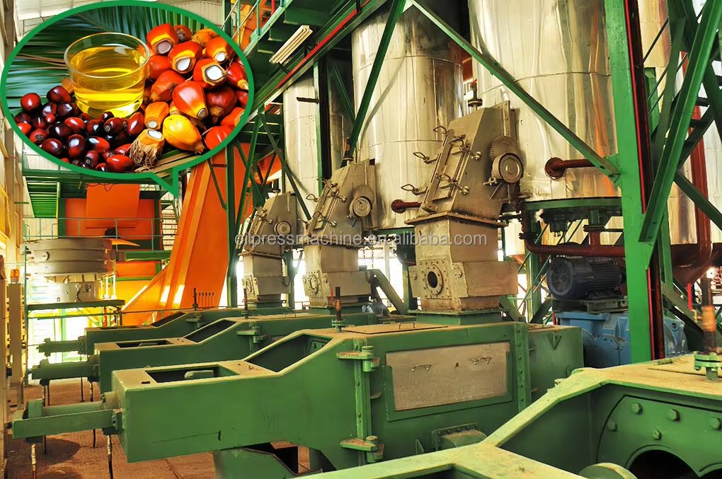 Palm Oil Processing Machine Physical Refining Palm Oil Machine Palm Fruit Oil Extraction Machine