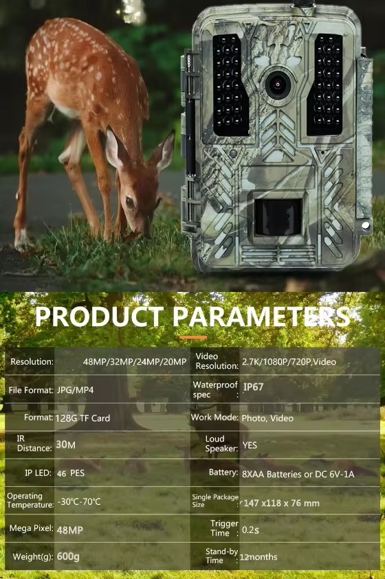 Product detail
