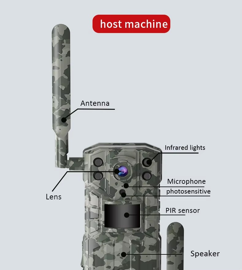 Product detail