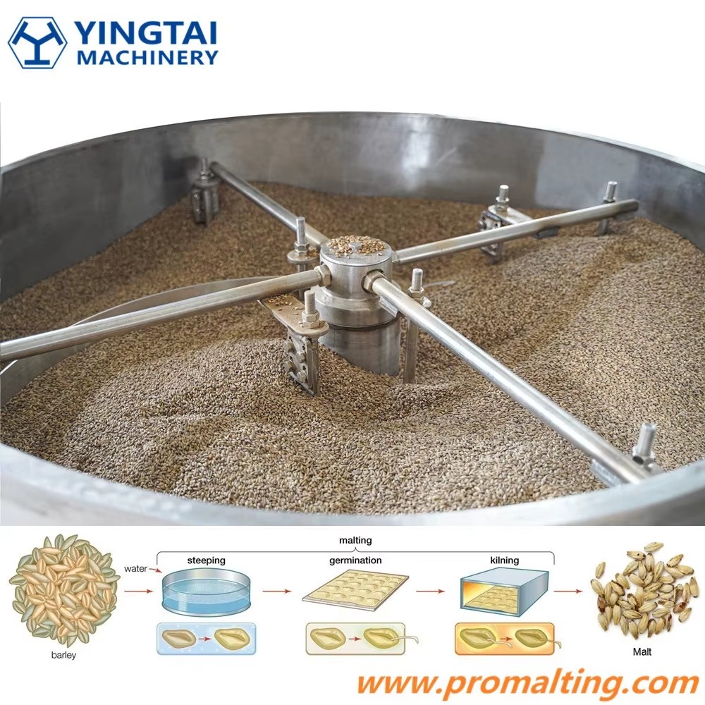 Munchner Malz, Karamell Malz Roasting Equipment for Malting Plants