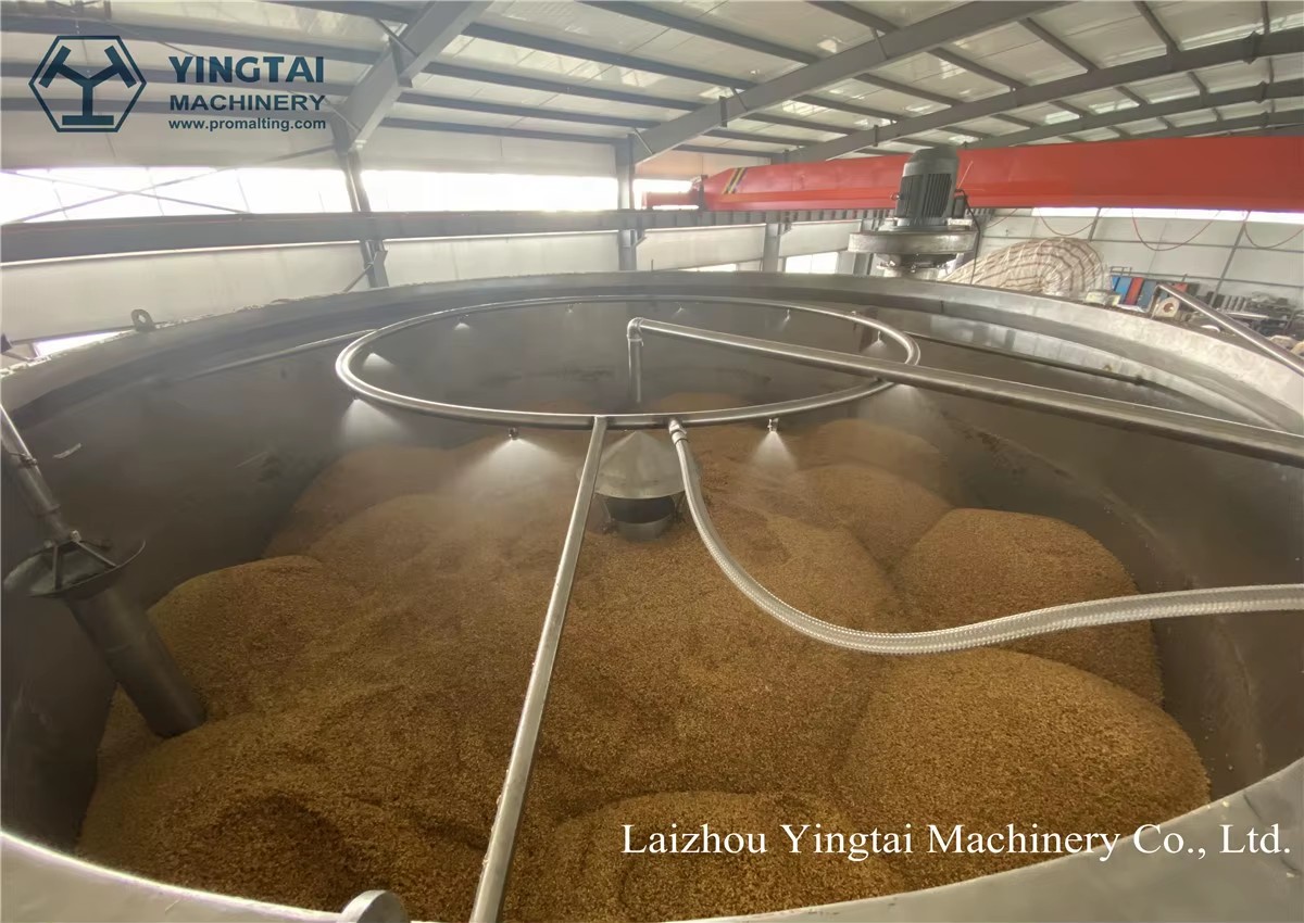 Yingtai Professional Wheat Malting Equipment Malting Service for Malting Companies