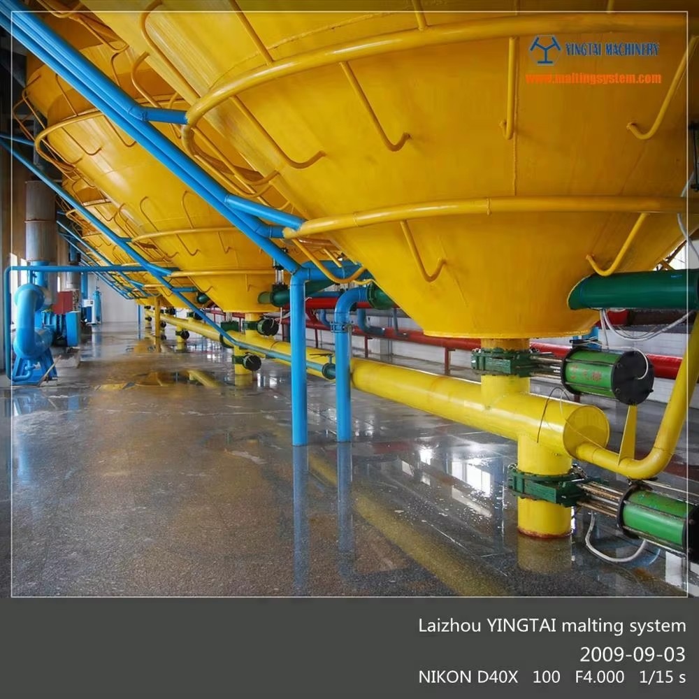 Yingtai Professional Wheat Malting Equipment Malting Service for Malting Companies