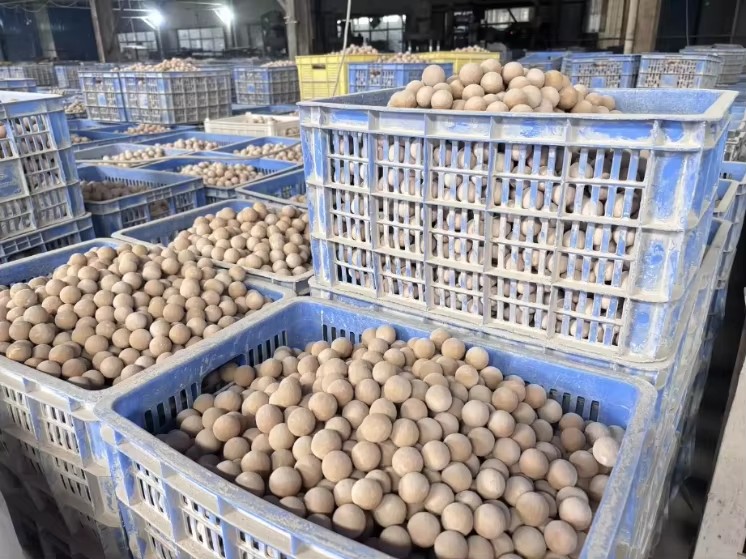 Durable Alumina Ceramic Packing Ball with Anti-Channelling Design, Media Filler for Ammonia Converter & SRU