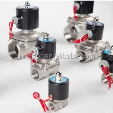 304 Stainless Steel Solenoid Valves Normally Closed Brass 2W Water Valve 220V 24V DN15 DN25 DN40 DN 50