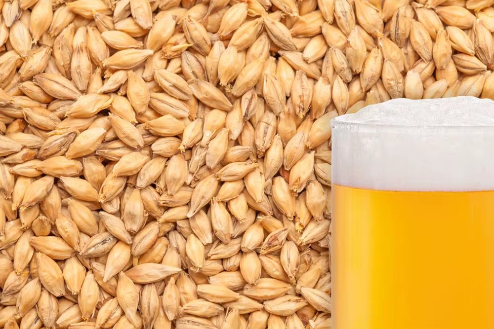 Drum Type Malting Barley Processing Equipment Malting Machine Malting System