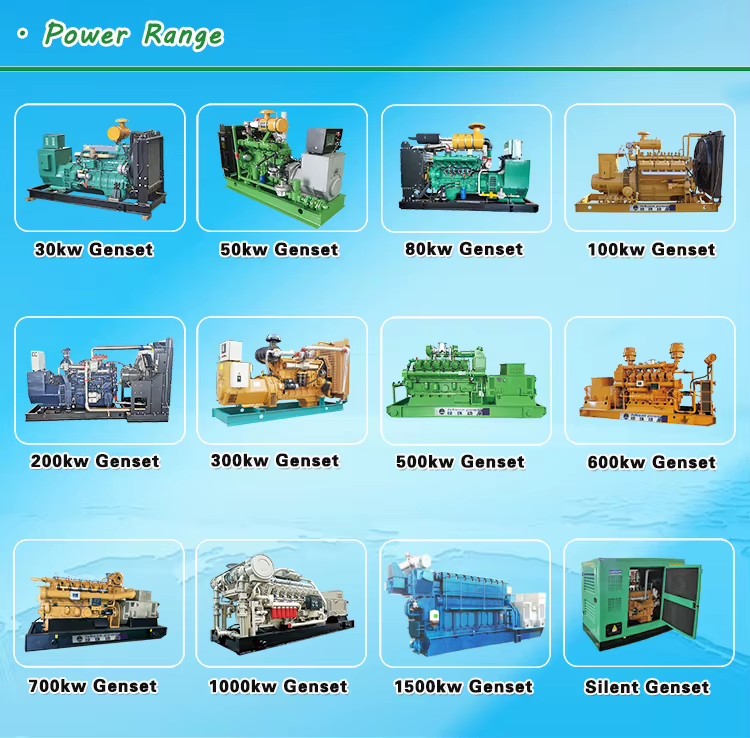 Natural Gas Generation Equipment 500kw Natural Gas Generator with Cogeneration Gas Generator