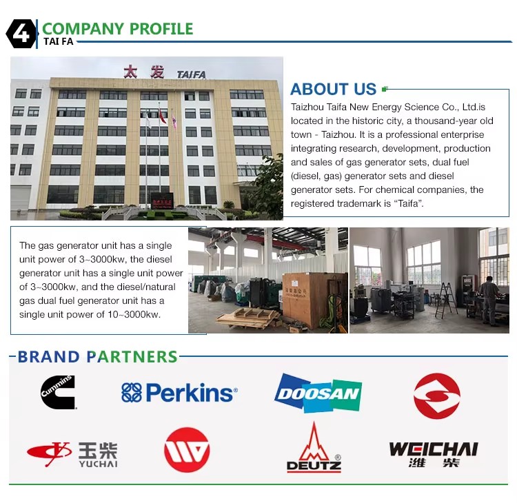 2000kw Natural Gas Methane Generator Set with DC Output Water Cooling Electric Start Method