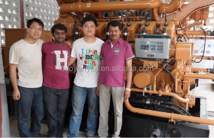 Dual Fuel Waste to Energy Plant Power Generator Gas Powered