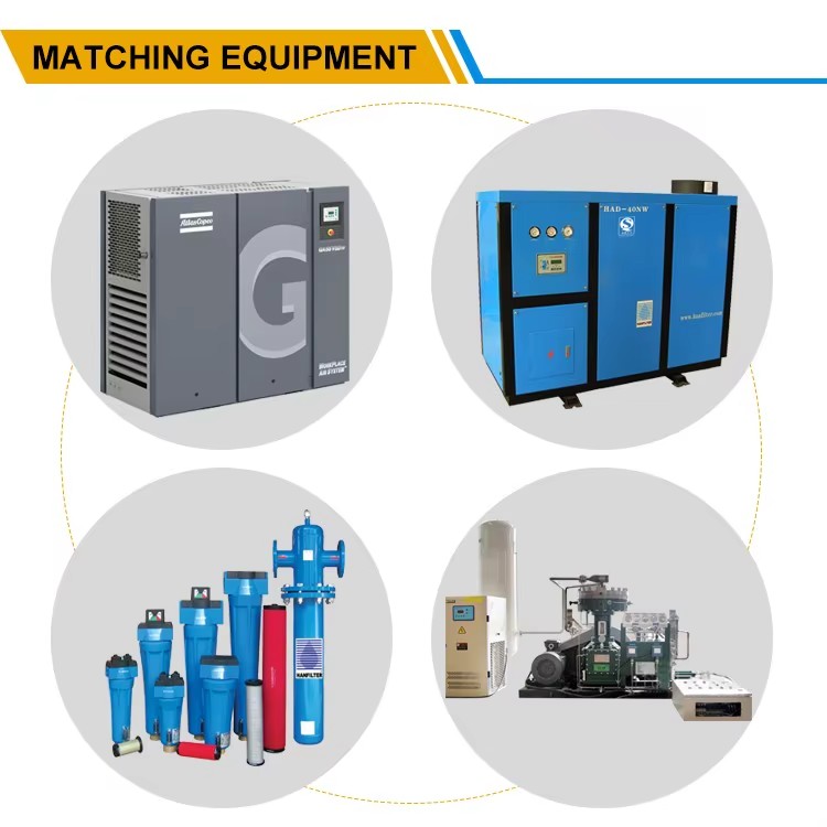 50/60HZ 380V/400V/420V/440V/460V Turnkey Containerized 20Nm3/h Integrated Oxygen Generator 98% 99% Gas Generation Equipment
